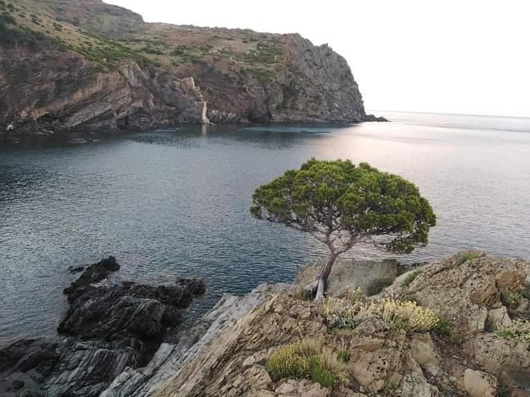 Appartement Sant Jordi Santiago à Tossa de Mar Extérieur photo